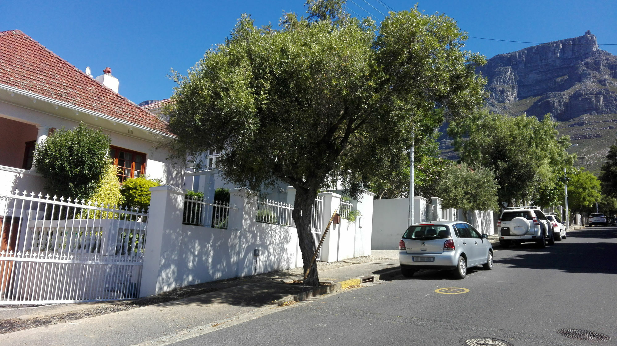 29 On Buxton Guesthouse Cape Town Bagian luar foto