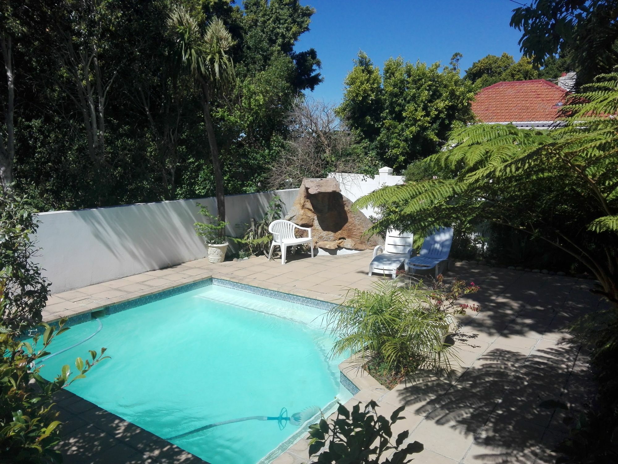 29 On Buxton Guesthouse Cape Town Bagian luar foto